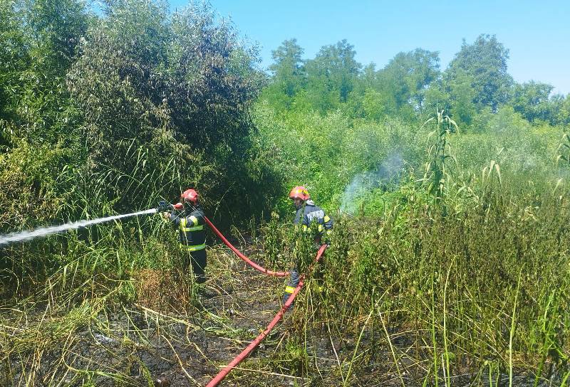 S-a redeschis „sezonul” incendiilor de vegetație uscată