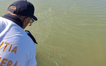 Peste un kilometru de plase …