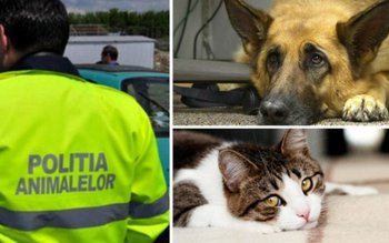 Persoane trimise în judecată pentru …