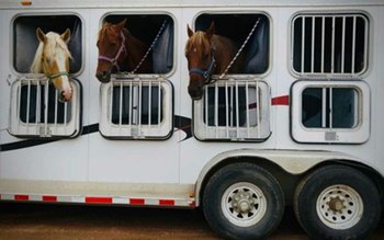 Măsuri care trebuie aplicate de …