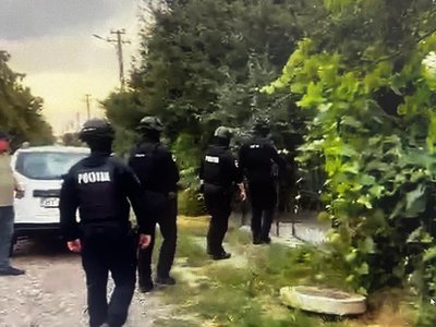 Două persoane atacate de un …