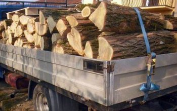 Material lemnos confiscat de polițiștii …