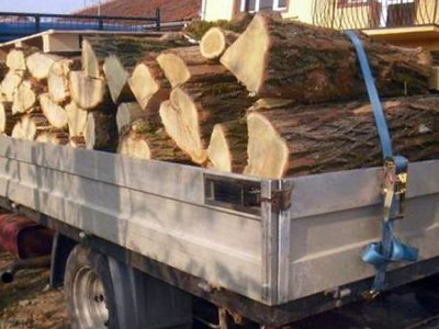 Material lemnos confiscat de polițiștii …