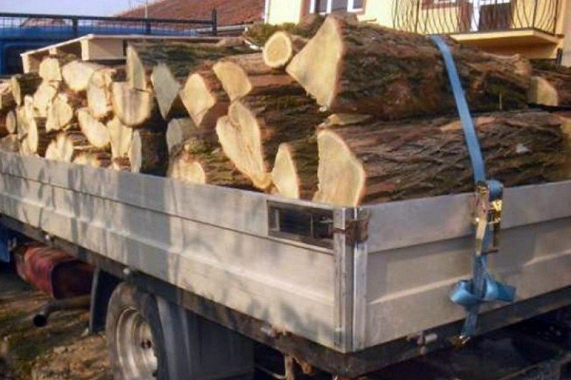 Material lemnos confiscat de polițiștii din Ibănești