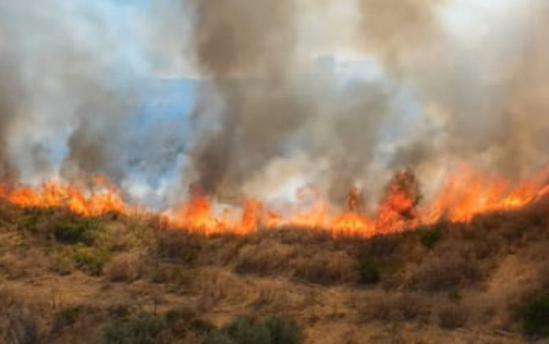 Atenţionare de călătorie în Italia. Cod roşu de incendii de vegetaţie