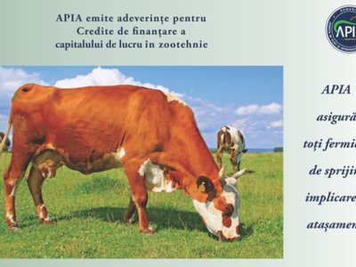 APIA Botoșani eliberează adeverințe fermierilor …