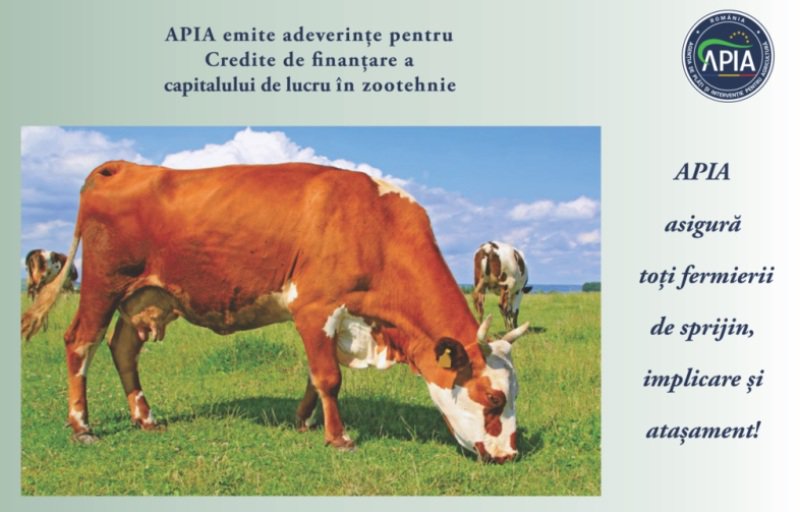 APIA Botoșani eliberează adeverințe fermierilor crescători de animale care doresc să acceseze credite bancare