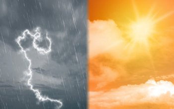 Cod galben de caniculă și …