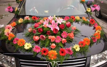 Codul Rutier 2025: NU se …