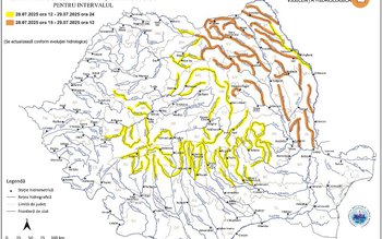 Cod Portocaliu și Galben de …