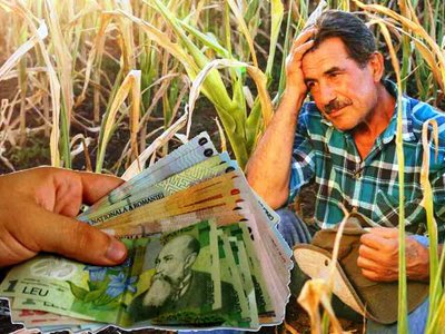 Atenție fermieri! Documentul trebuie depus …