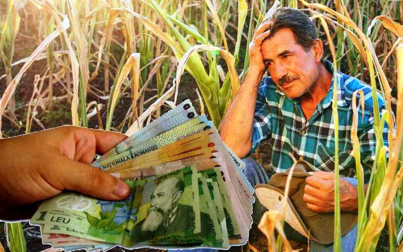 Atenție fermieri! Documentul trebuie depus la Primărie până pe 1 august. Riști să pierzi banii dacă nu îl ai