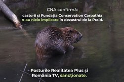 CNA sancționează televiziunile care au …
