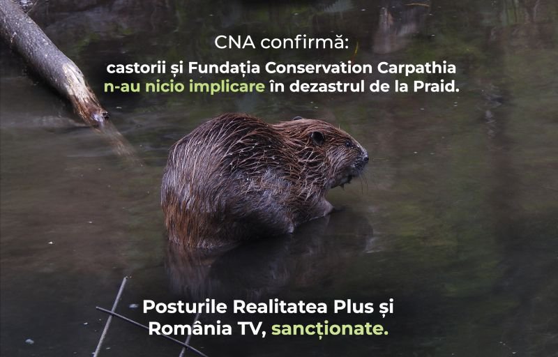 CNA sancționează televiziunile care au promovat dezinformarea privind castorii și Salina Praid