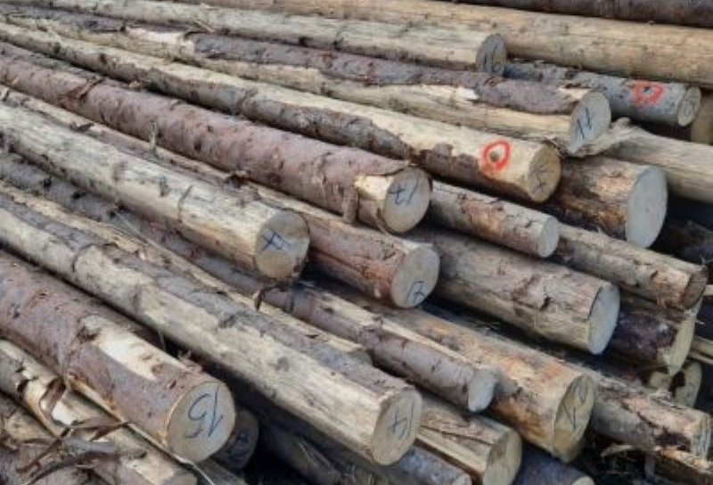 Material lemnos confiscat de către polițiști la Mihăileni