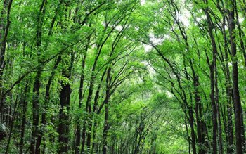 Acțiune contracronometru la Cristinești. Operațiune …