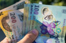 Au fost efectuate plățile pentru …