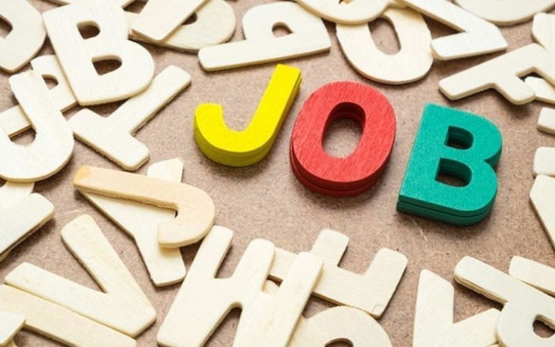 Locurile de muncă vacante la nivelul județului Botoșani - 11.08.2025