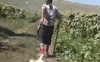 Anchetă a Poliției Animalelor în …