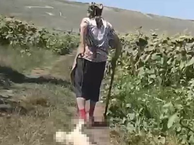 Anchetă a Poliției Animalelor în …