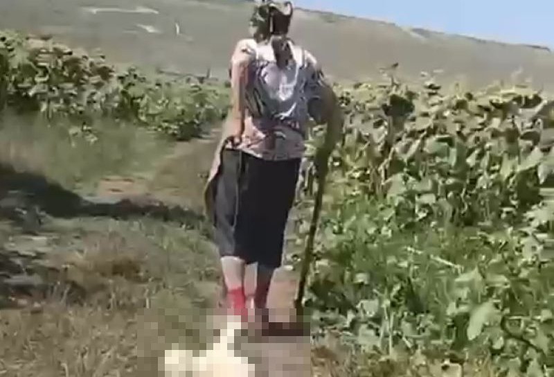 Anchetă a Poliției Animalelor în cazul femeii filmate în timp ce târâia un cățel legat