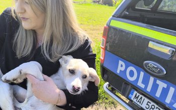 84 de ani are femeia …