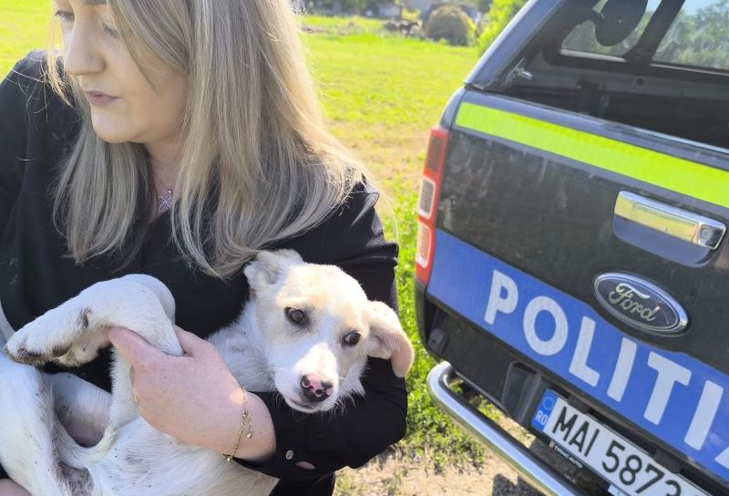 84 de ani are femeia filmată în timp ce târâia un cățel legat. Polițiștii a identificat-o și au amendat-o
