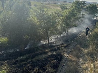 Două incendii de vegetație uscată …