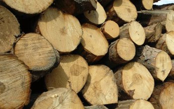 Material lemnos confiscat de polițiști …