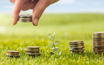 Proprietarii de teren primesc minim …