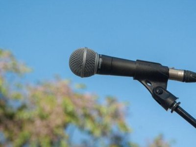 13 artiști de muzică populară …