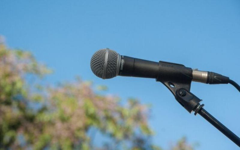 13 artiști de muzică populară condamnați la închisoare cu suspendare Sunt acuzați că au înșelat statul în timpul pandemiei Covid