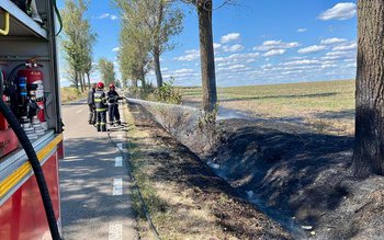 Incendiu izbucnit pe marginea drumului …