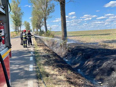 Incendiu izbucnit pe marginea drumului …