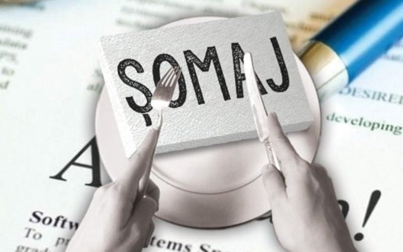 3,69% - rata şomajului înregistrat în evidenţele AJOFM Botoșani în luna iulie 2025