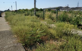 Obligația de care mulți proprietari …