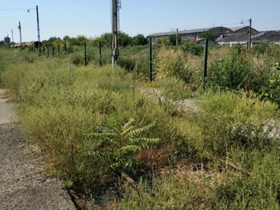 Obligația de care mulți proprietari …