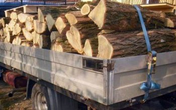 Material lemnos confiscat de către …