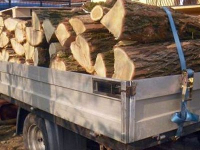 Material lemnos confiscat de către …