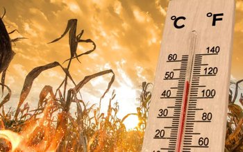 ANM a anunțat caniculă pentru …