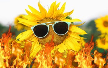 ANM a emis atenționare de …