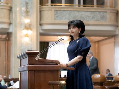 Senatorul Doina Federovici cere investiții …