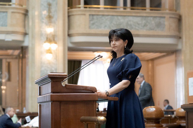 Senatorul Doina Federovici cere investiții în infrastructura rutieră a Moldovei pentru securitatea europeană