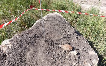 Grenadă de mână defensivă descoperită …