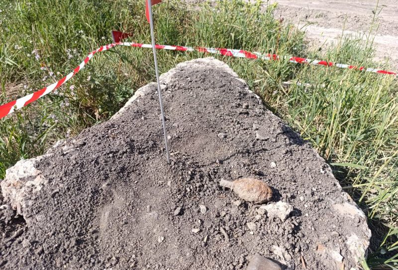 Grenadă de mână defensivă descoperită în județul Botoșani
