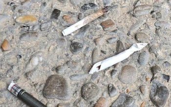 Trei botoșăneni descoperiți de jandarmi …