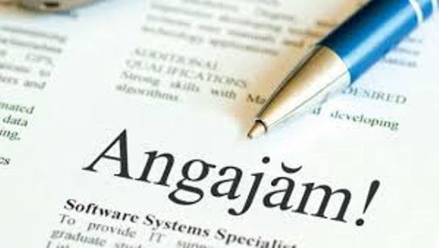 Locurile de muncă vacante la nivelul județului Botoșani