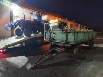 Polițiștii din Vlăsinești au identificat …