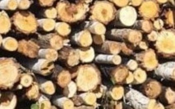 Cinci metri cubi de material …