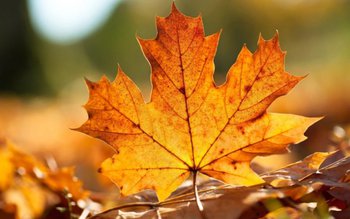 Director ANM: România va intra …